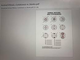 15) which cell is not in a phase of mitosis? Cytokinesis