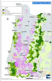Maybe you would like to learn more about one of these? Western Oregon Blm Backyard Forests Oregon Wild