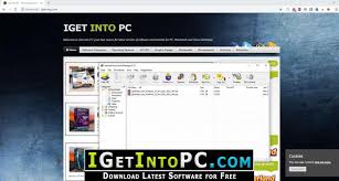 (free download, about 10 mb). Internet Download Manager 6 33 Build 1 Idm Free Download