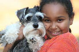 Sometimes, you may find dogs and puppies for free to a good home by an owner who may no longer be able to look after them because of personal. Adopt