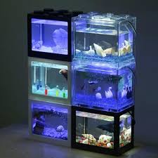 Model aquarium minimalis untuk ikan cupang. 30 Harga Aquarium Mini Untuk Ikan Cupang Images