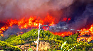 We did not find results for: Ovllmjd8m7tyjm