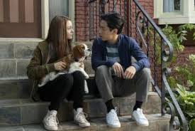 Discover more posts about maya henry. Weltexpresso Bailey Ein Hund Kehrt Zuruck