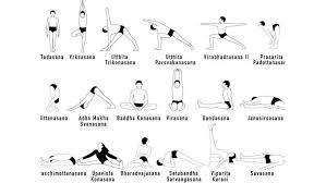 Along with mental and physical health, the benefits of hatha yoga include healing the nervous system. Hatha Yoga Cheap Online