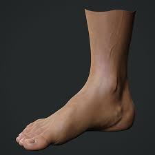3d Model Realistic Male Foot 3d Model Male Feet Model