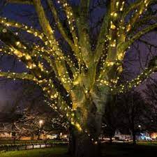 We did not find results for: Outdoor Fairy Lights Fairy Lights Powerbee Ltd