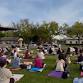 Flow into Summer: Yoga & Wellness Day