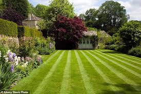 Read the latest scottish news covering glasgow and edinburgh. Garden Experts Say Letting Lawn Run Wild With Brown Patches And Overgrown Weeds Is The Latest Trend Daily Mail Online