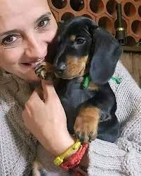 Any unique names for an 8-month-old miniature schnauzer?