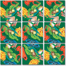 The puzzle consists of nine square pieces and four images spread across the squares. Frogs Scramble Squares B Dazzle