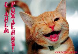 Картинки по запросу с днем рождения котик картинки