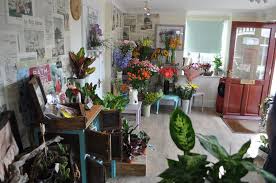 Flowers by lesley is here to spread the fresh fragrance of flowers to customers the world over. Trusted Florists In Devon