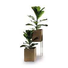Check spelling or type a new query. Wink Designer Indoor Plant Pots Archi Living Com