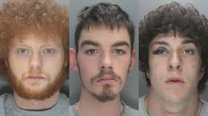 Jailed this Month: The faces of 46 criminals locked up in March