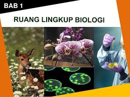 Maybe you would like to learn more about one of these? Bab 1 Ruang Lingkup Biologi Ppt Download