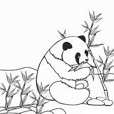 Desenhos De Panda 1 Para Colorir E Imprimir Colorironline Com