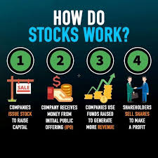Shares are typically issued in a series and categorized as either common or preferred. How Do Stocks Work Stock Market Investing Ideas Of Stock Market Investing Stockmarket Investing Stoc Finance Investing Money Management Advice Investing