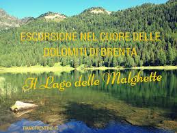 Escursione Al Lago Delle Malghette Escursioni Lago Idee Di Viaggio