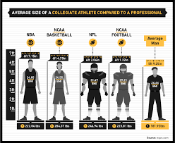 Male Body Image And The Average Athlete