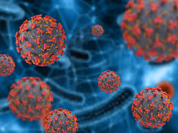 Answers to 9 common questions. Sars Cov 2 And Androgen Deprivation Therapies For Prostate Cancer Aging Project Uniupo