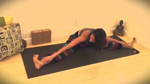 Kurmasana Tortoise Pose Pose La Tortuga Youtube