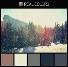 Color Scheme Dark Blue Slate Off White Dusty Rose Dusty Rose W My Slate Blue Opposite Of My Go Blue Room Decor Bedroom Blue Colour Palette Color Schemes