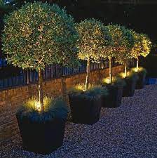 Outdoor Lighting Ideas Will Shed Some Light On Your Own Backyard Design Including Solar Lights Landsc Garden Lighting Design Outdoor Gardens Courtyard Design