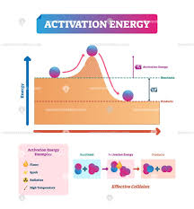 Activation Energy Vector Illustration Example Diagram Physics And Mathematics Energy Activities Chemistry Lessons