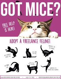 You can see our current adoptable cats below — click their photo to see their full profile. Freelance Felines
