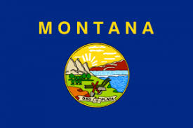 The law requires dealers to give consumers a written warranty. Montana Lemon Law Lawyer New Cars Used Attorneys Allen Stewart Pc