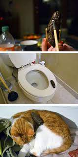 Best and worst april fools' jokes of 2015 published april 1, 2015 • updated on april 1, 2015 at 1:09 pm it is officially april 1, notoriously known as a time for bad jokes, pranks and fools. 30 Hilarious Pranks For April Fools Day Bored Panda