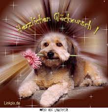 Kein Name Geburtstag Bilder Geburtstagsbilder Hund Geburtstag
