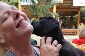 Fundraiser for Keith Manne by John Manne : Ruth "Roo" Manne's fundraiser