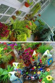 Garden Tour Madhu S Colorful Terrace Garden Dress Your Home Terrace Garden Balcony Garden Diy Backyard Garden Diy