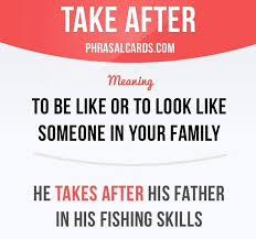Take After To Be Like Smb English Vocabulary Words Learn English Words English Idioms