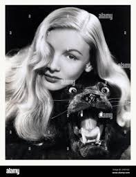 Veronica gatto immagini e fotografie stock ad alta risoluzione