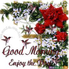 Good Morning Enjoy Your Day Download hd good morning photos for free on unsplash. good morning enjoy your day
