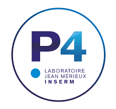 P4 is a programming language for controlling packet forwarding planes in networking devices, such as routers and switches. P4 Jean Merieux Wikipedia