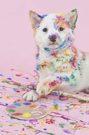 Caminha Para Cachorro Em Formato De Hot Dog Pin Em Rainbow Dogs