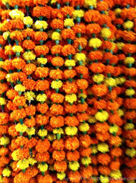 Marigold Garlands Mira Terra Images Travel Photography Garland Holiday Crafts Christmas Marigold
