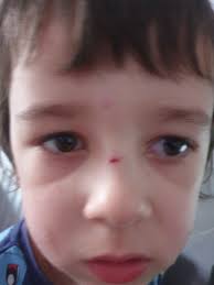 Hello everyone. I am looking for a car to go to prom in. I was planning to  go in a helicopter as the venue has a helipad but unfortunately not been  able