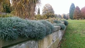 If none of the natural garden bed edging ideas mentioned above quite fit your needs and wishes they can simply be laid along the edges of the growing area, or stacked to form chunky wooden edges for. How To Choose The Right Garden Edging For Your Outdoor Space Houzz Nz