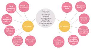 The Difference Between Animal Cell And Plant Cell Plant Cell Animal Cell Biology