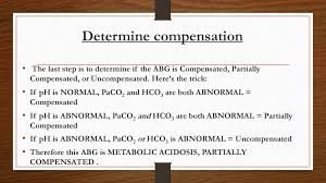 Blood Gas Analysis The Basics Ppt Download