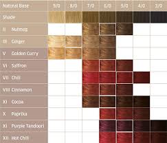 Wash hair once with wella professionals brilliance. Eos Haarfarbe Auf Pflanzenbasis Wella Professional