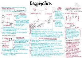 aqa a level biology year 2 summary revision study uworld pn quizlet