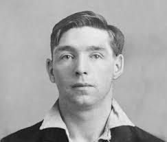 The pigeon among the fat cats