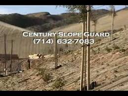 Rather, their growth follows the direction from which light comes. Planting Trees On A Hillsides Century Slope Guard Youtube