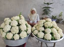 Gobi Manchurian By My Granny Easy Recipe Manchurian Recipe Street Food Veg Village Food Youtube Gobi Manchurian Manchurian Recipe Street Food