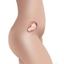 Maybe you would like to learn more about one of these? Pin On Pregnancy Tips